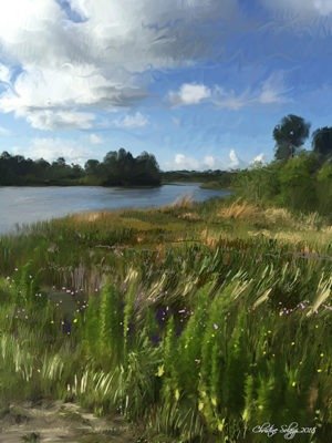 Artist, Christine Solazzi, DuPuis Management Area, Canal Point, Florida © Christine Solazzi 2018