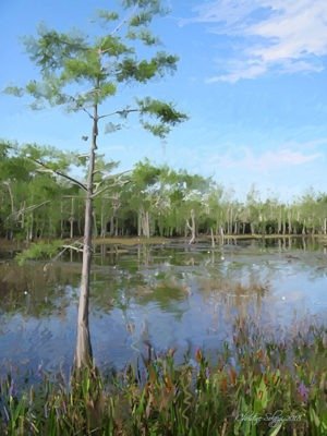 Artist, Christine Solazzi, Painting, Apoxee Nature Trail, West Palm Beach, Florida