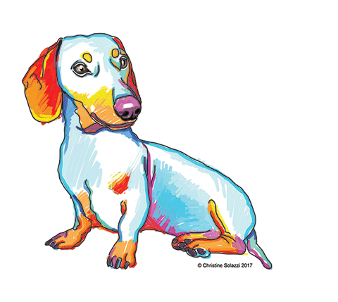 Illustration by Christine Solazzi - Artist, Drawing of a Dog