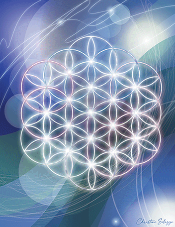 Christine Solazzi, Illustration, Corporate Branding, Graphic Design, Digital Marketing, Flower of Life