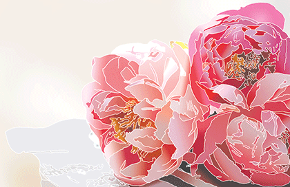 Christine Solazzi, Illustration, Corporate Branding, Graphic Design, Digital Marketing, Peony Illustrations