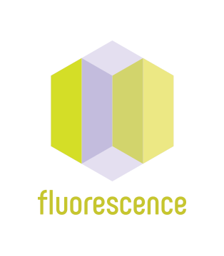 Christine Solazzi, Graphic Design, Digital Marketing, Package Design, Fluorescence Logo