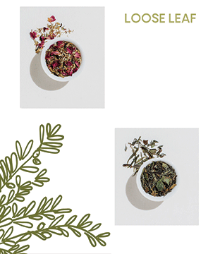 Corporate Branding, Graphic Design, Digital Marketing, Package Design, Herbal Leaf