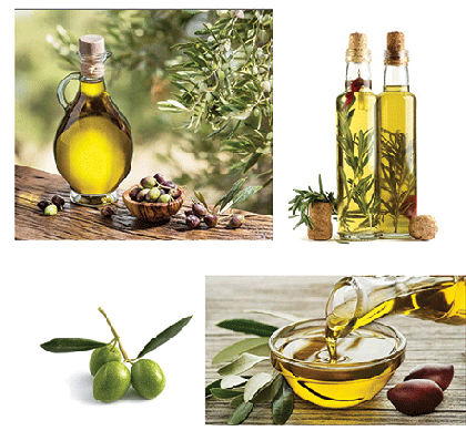 Corporate Branding, Graphic Design, Digital Marketing, Package Design, Olive Oil & Avocado