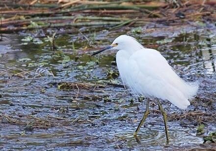 Christine Solazzi; Hike at Green Cay Bird Sanctuary, © Christine Solazzi